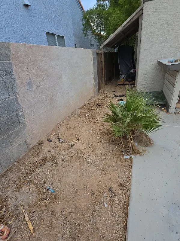 The same side yard after the cleanout, dirt and walkway clear